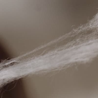 100% Supima. Nothing else.